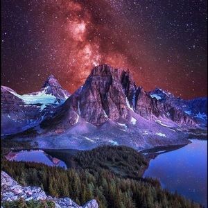 Meet your Posher, Madison